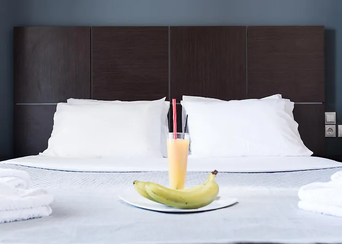 Hotel Zante Calinica