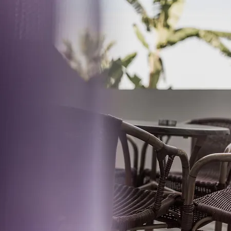 Zante Calinica Циливи