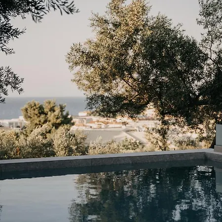 Zante Calinica Hotell Tsilivi (Zakynthos)