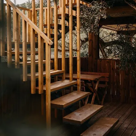 Zante Calinica Tsilivi (Zakynthos)